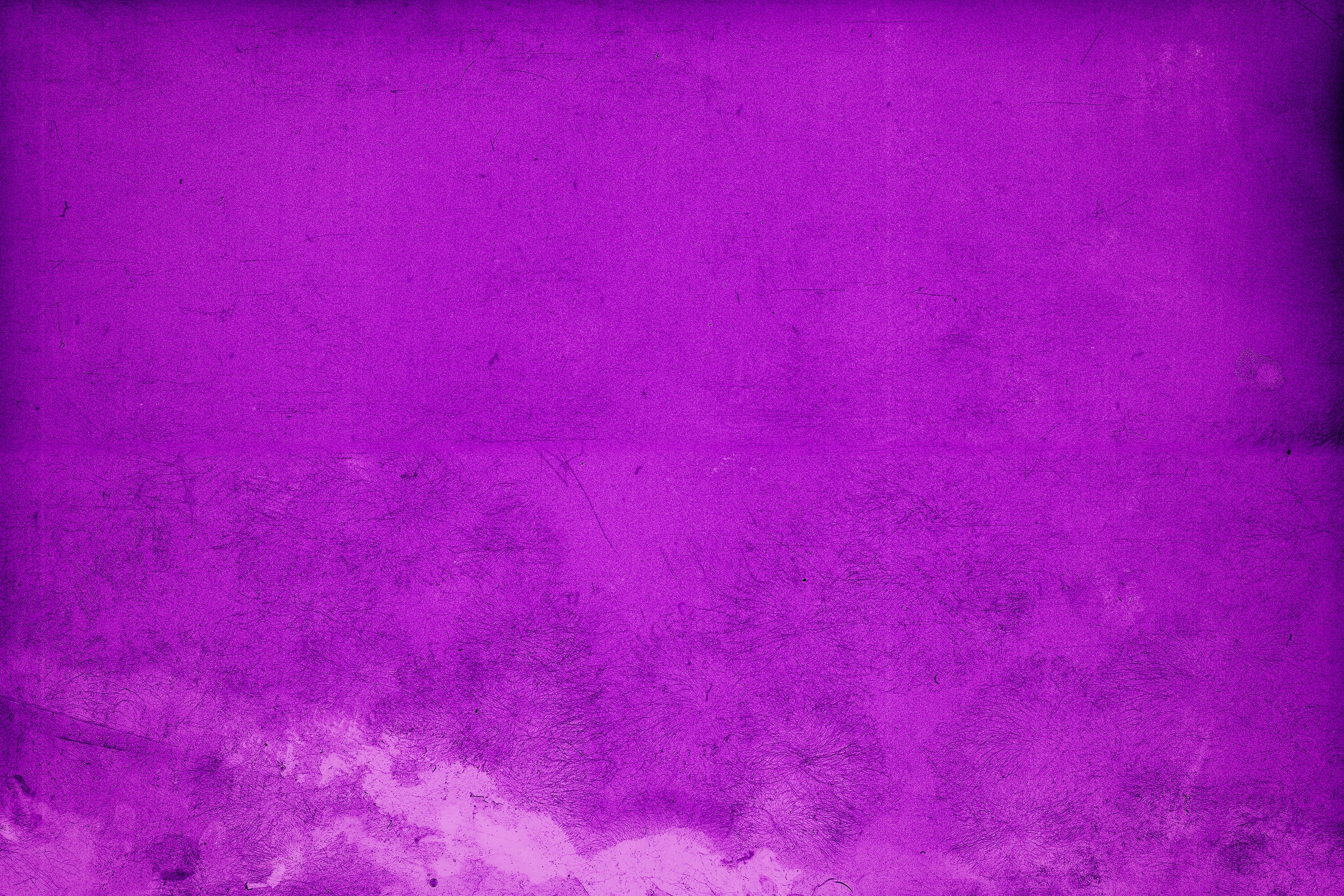 Coloris Violets